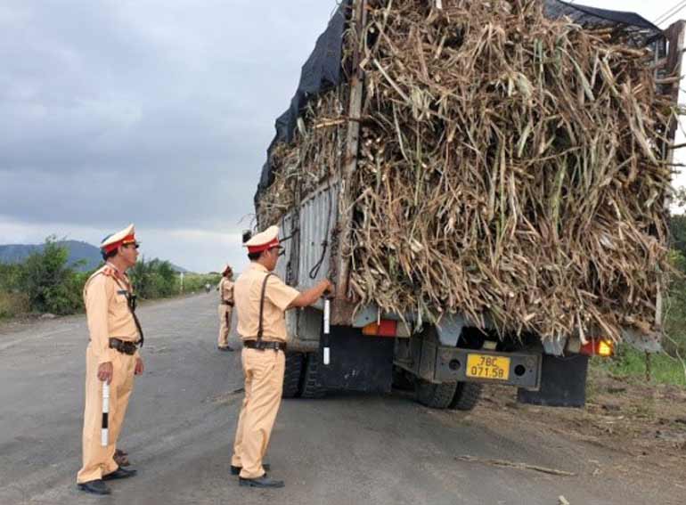 Cảnh sát giao thông Công an huyện Sơn Hòa kiểm tra, xử lý các xe chở mía vi phạm. Ảnh: XUÂN HUY